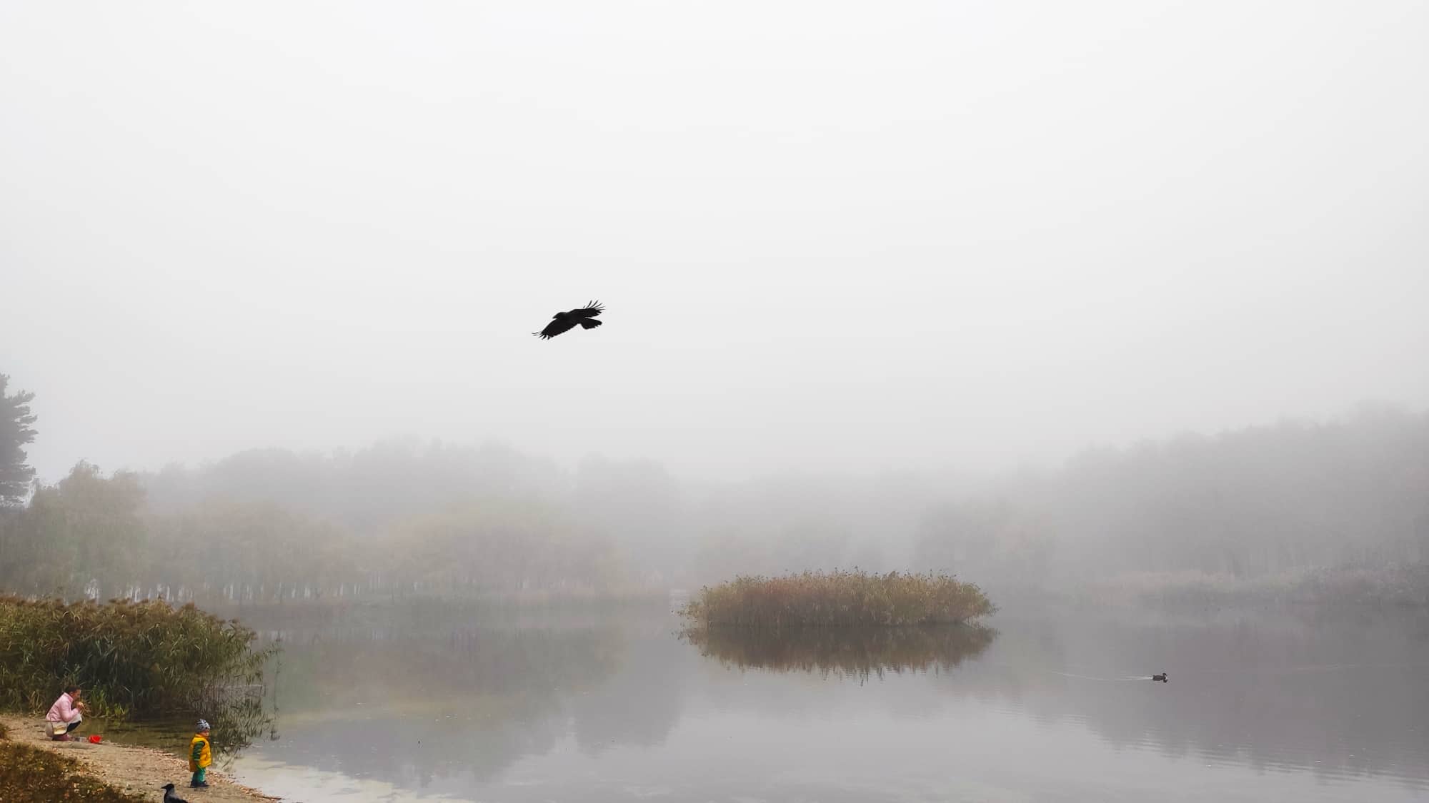 Фото Анны Чаловой