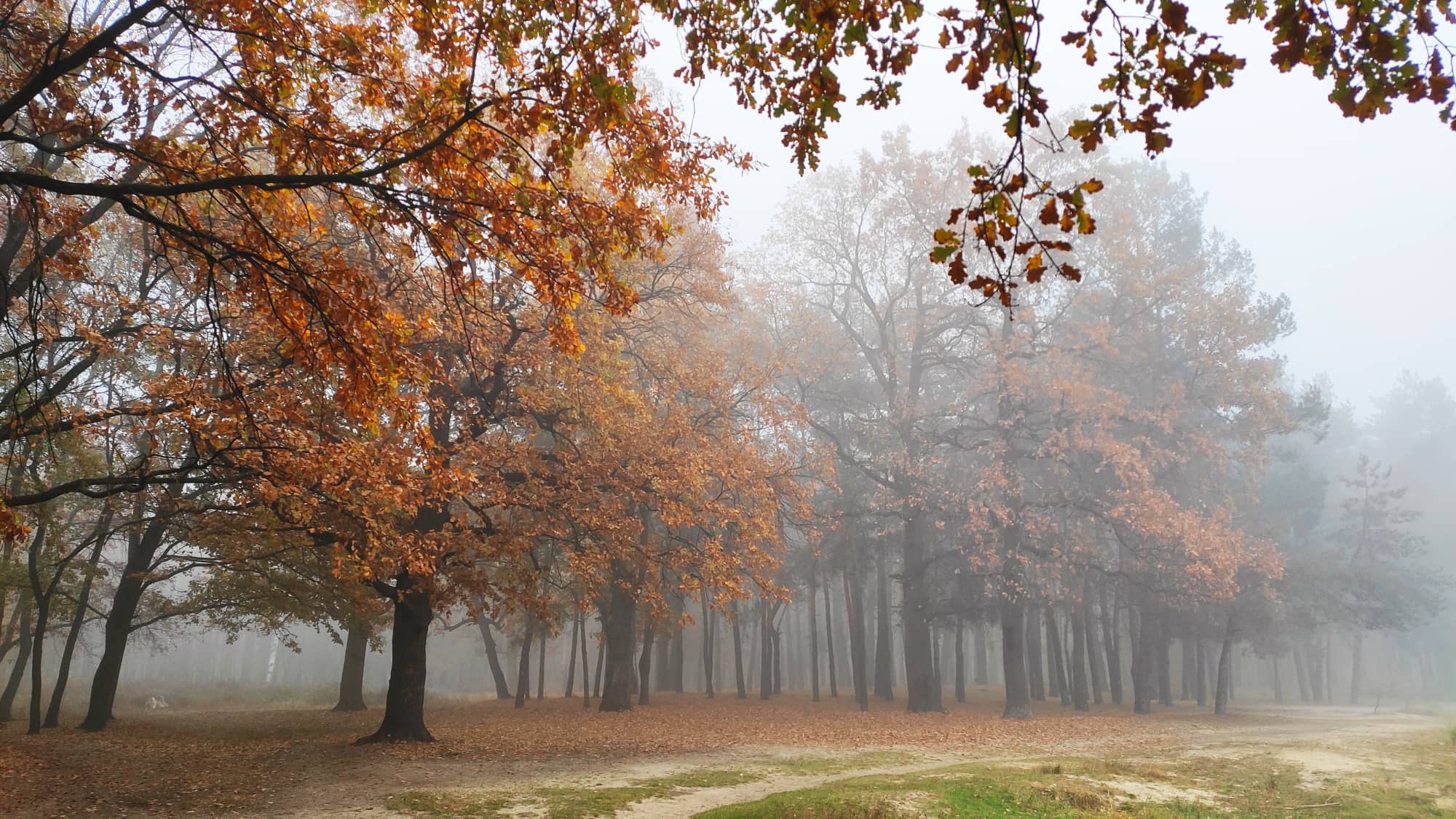 Фото Анны Чаловой